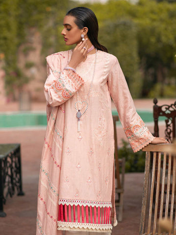 Rajbari Design # D 8A Rajbari Premium Festive 2022 Online Shopping